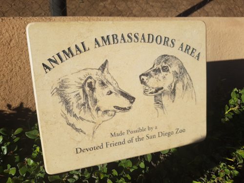 San Diego Zoo, USA