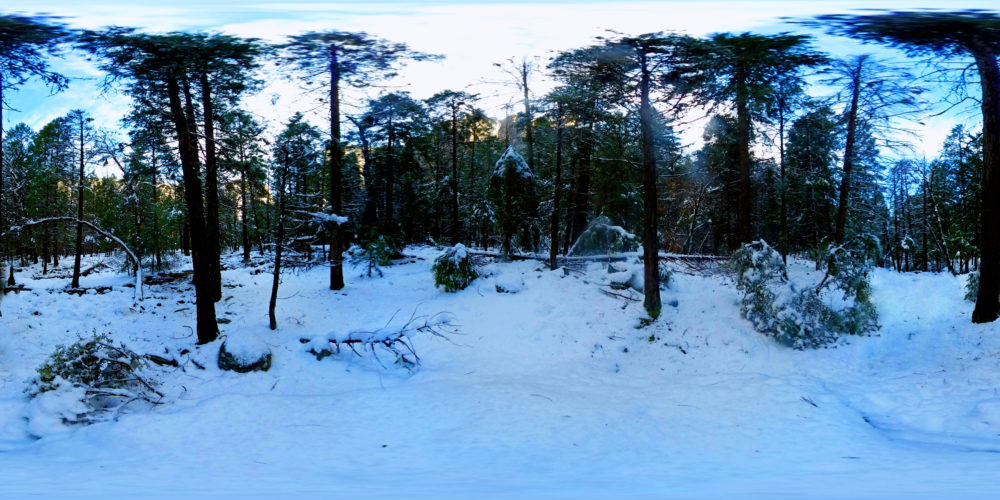Yosemite Valley, Yosemite National Park - USA 360 Panoramic