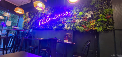 Palmcoco 20240824, Torquay