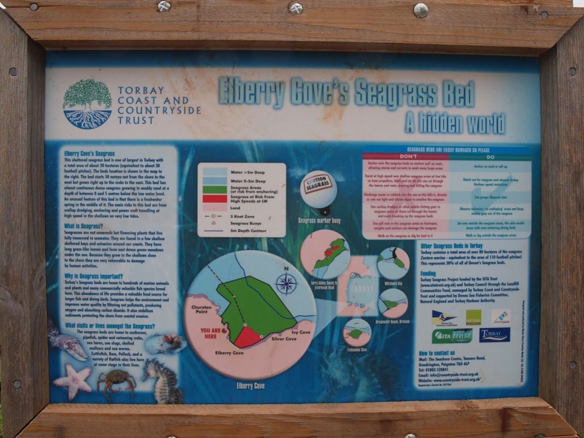 Elberry Cove, Paignton Brixham