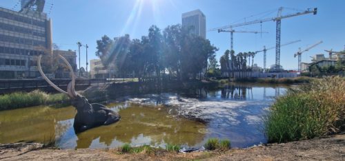 La Brae Tar Pits 20220928 Los Angeles 5