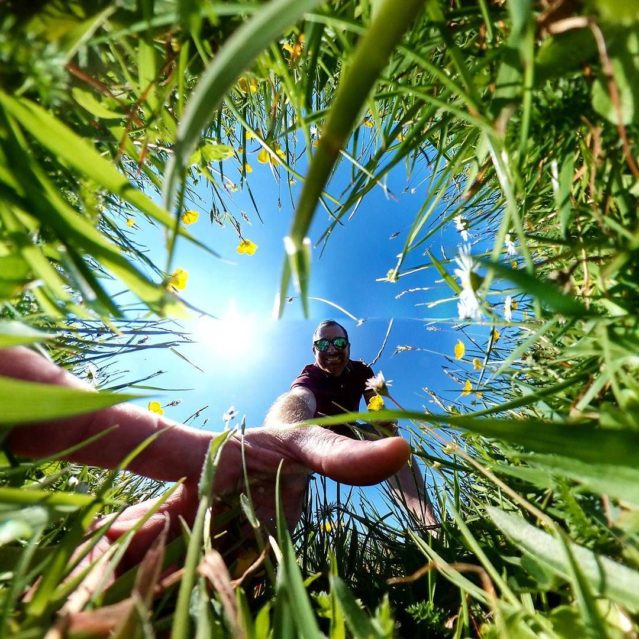 Buttercups - Inverted Planet