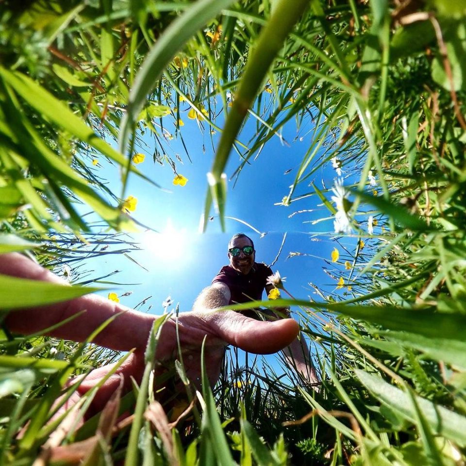 Buttercups - Inverted Planet