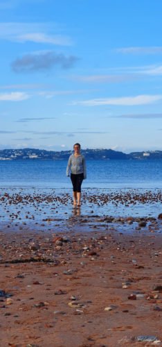 Broadsands Beach Paignton 2019 5