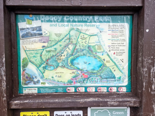 Decoy 2021 Newton Abbot 20211217