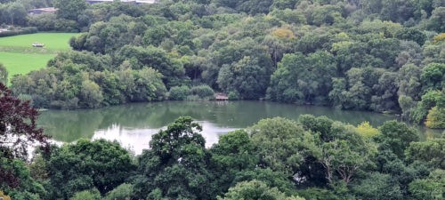 Decoy Country Park Newton Abbot 2020