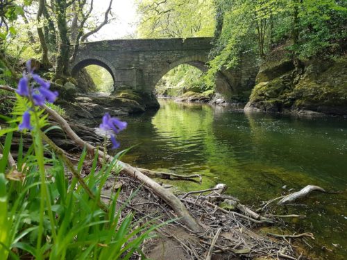 Denham Bridge, Dartmoor
