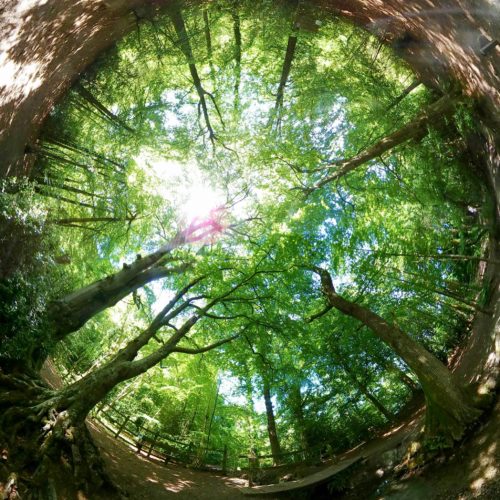 Decoy Country Park, Newton Abbot, UK - Inverted Planet