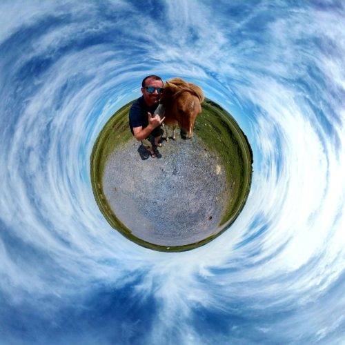 Person with a dartmoor pony