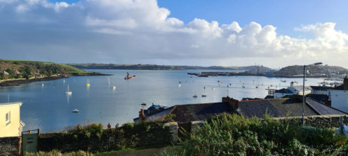 Basset Street Gardens Falmouth Cornwall 2020 2 Basset Street Gardens Falmouth Cornwall 2020 2