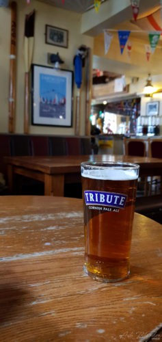 Dolphin 2019, Dartmouth