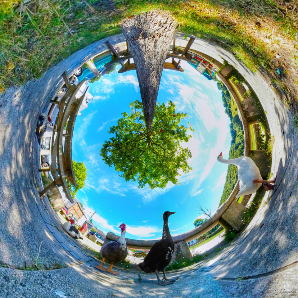 Calstock, Cornwall, UK - Inverted Planet