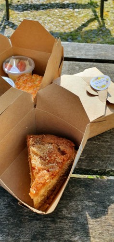 Primrose Cottage 2019 Dartmoor