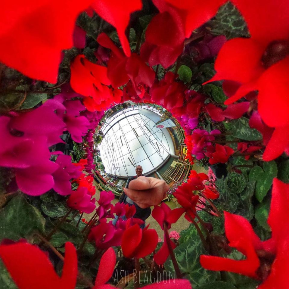 Flower cave Inverted Planet Flower cave Inverted Planet