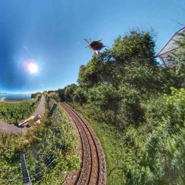 Bzzzz! Flying Cam Planet