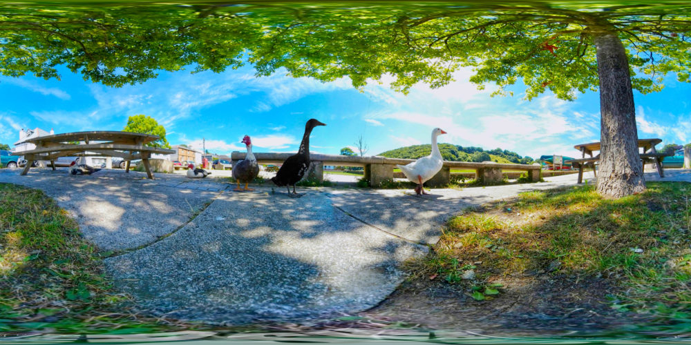 Calstock, UK - 360 Panoramic Calstock, UK - 360 Panoramic