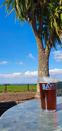 Palm tree and beer on a table