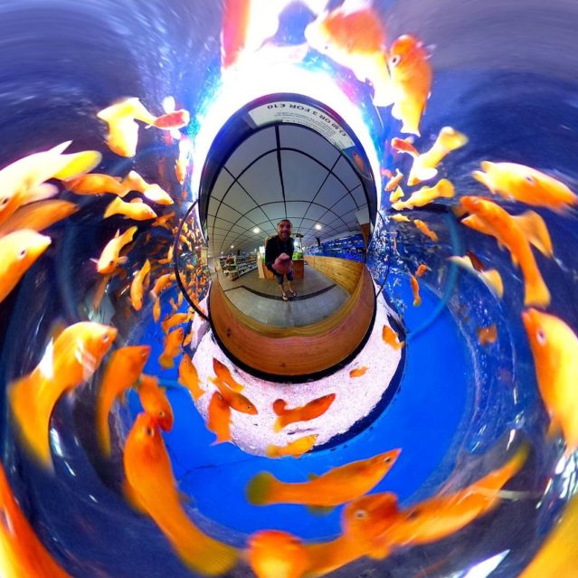 Fishy, Flying Cam Planet