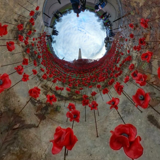 Plymouth Wave of Poppies, Inverted Planet