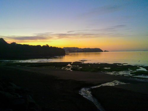 Hollicombe Beach Paignton, Torquay Standard