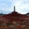 Plymouth Wave of Poppies, 360 Panoramic