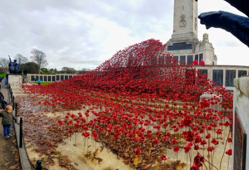 Wave of Poppies, Plymouth - Standard