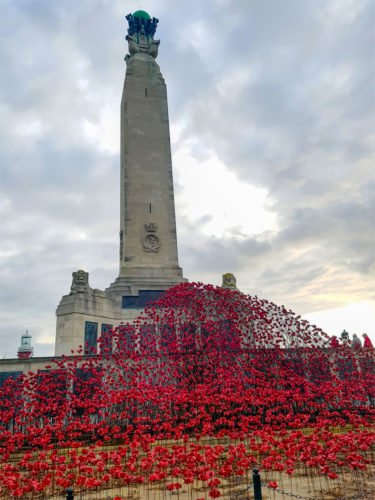 Wave of Poppies, Plymouth - Standard