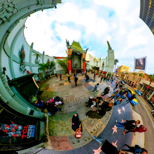 Walk of Fame, Hollywood, Los Angeles, USA Tiny Plant