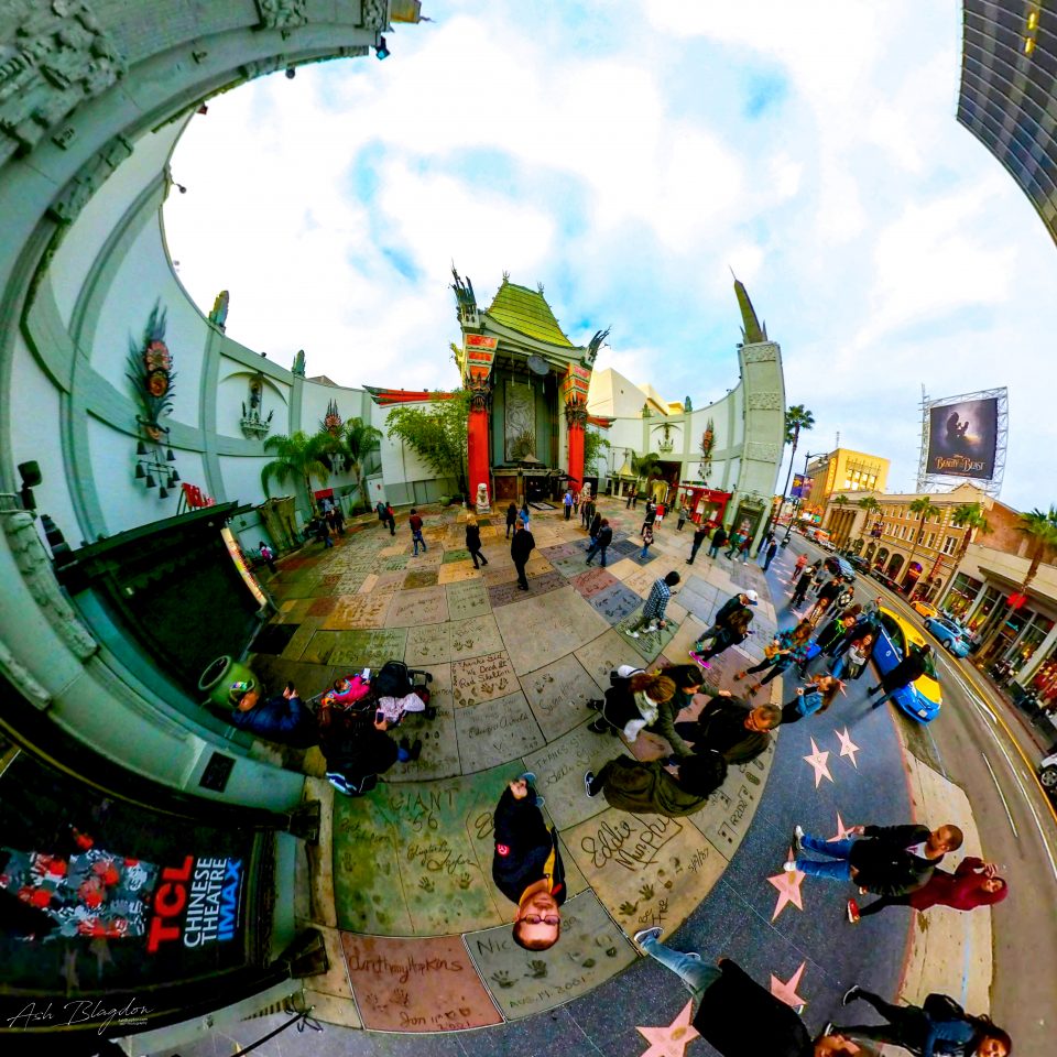 Walk of Fame, Hollywood, Los Angeles, USA Tiny Plant