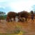 Elephant Park Chiang Mai Thailand 360 Panoramic Elephant Park Chiang Mai Thailand 360 Panoramic