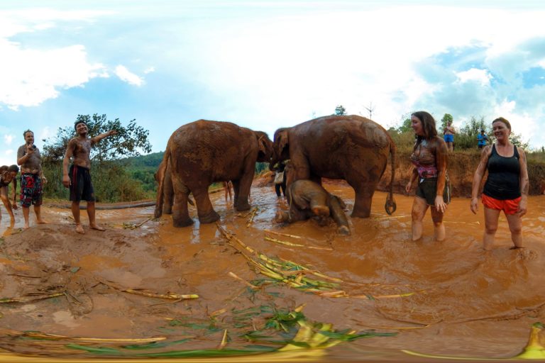 Elephant Park Chiang Mai Thailand 360 Panoramic