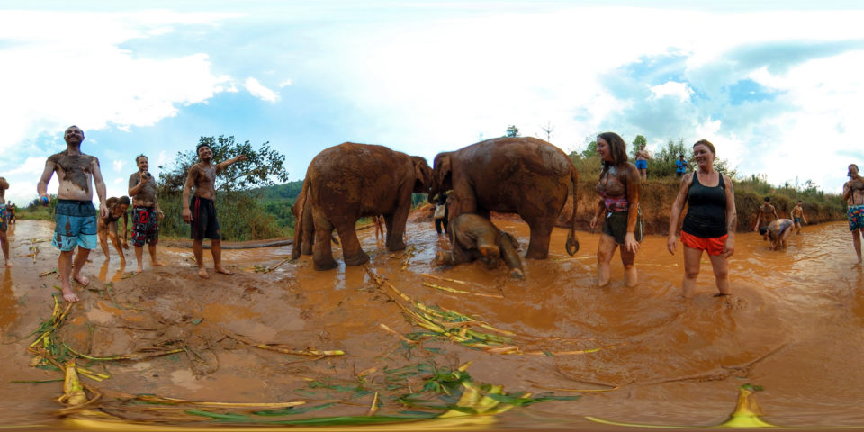 Elephant Park Chiang Mai Thailand 360 Panoramic