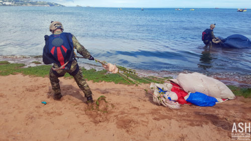 Tigers Freefall Parachute Display Team 20170604, Torbay Airshow, Paignton, Standard