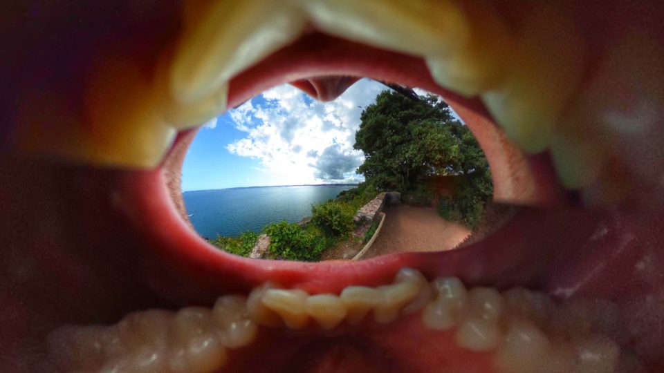 Mouth Shot, Daddyhole Plain, Torquay - 360 Panoramic