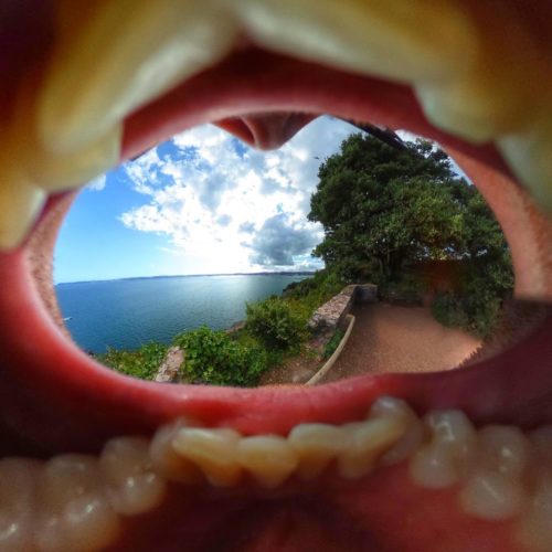 Mouth Shot, Daddyhole Plain Torquay