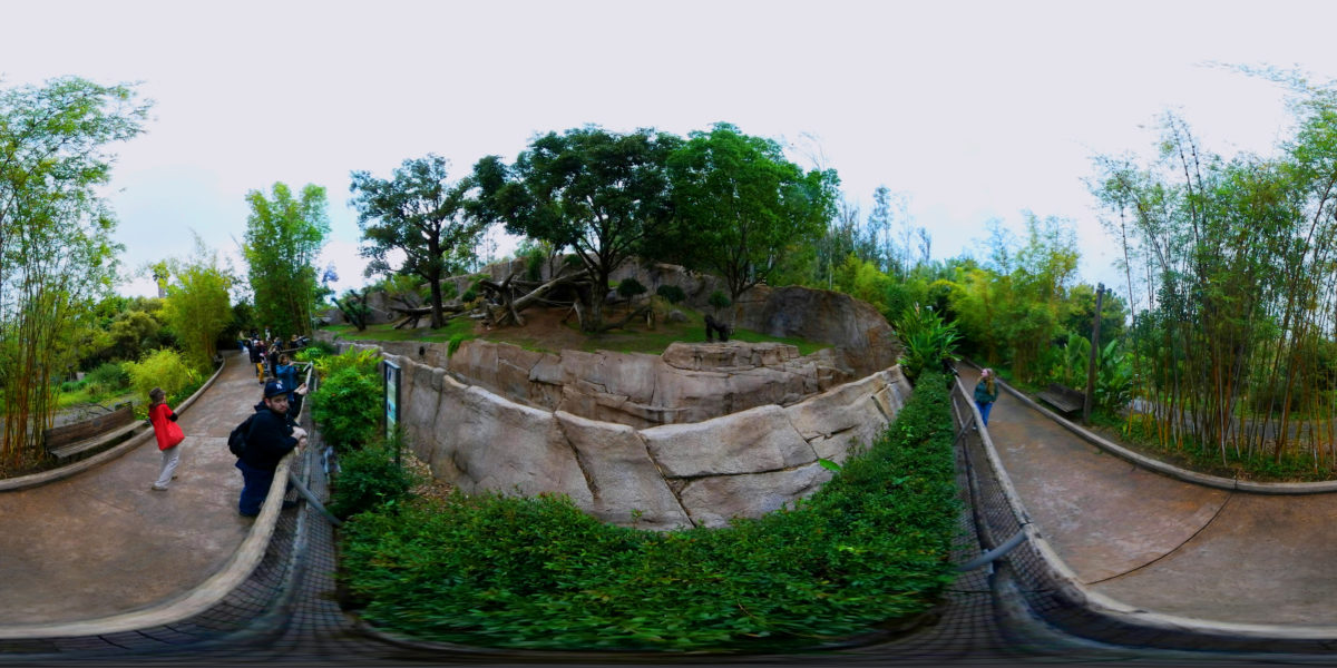 Safari Park, San Diego, USA 360 Panoramic