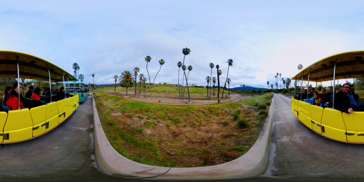 Safari Park, San Diego, USA 360 Panoramic