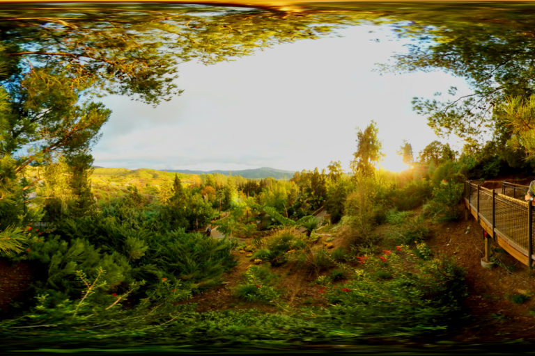 Safari Park, San Diego, USA, 360 Panoramic