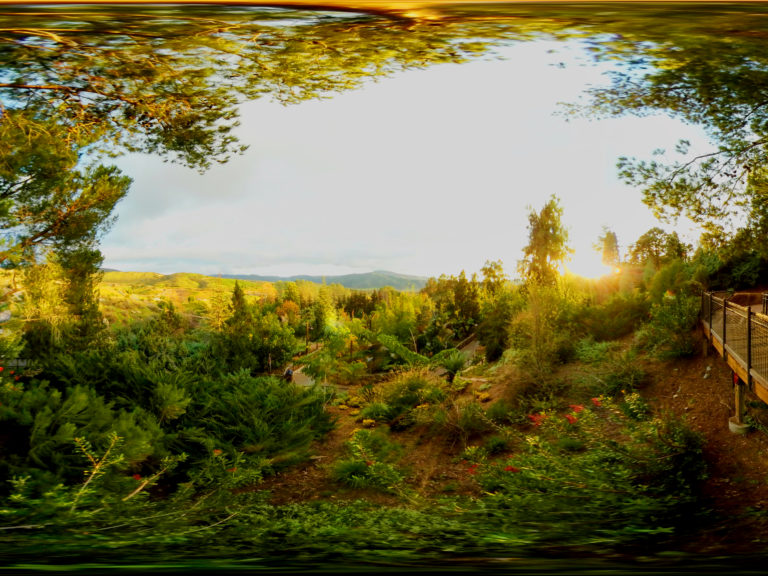 Safari Park, San Diego, USA, 360 Panoramic Safari Park, San Diego, USA, 360 Panoramic