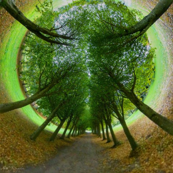 Game of Thrones, Winterfell, Castle Ward Belfast Northern Ireland Inverted Planet