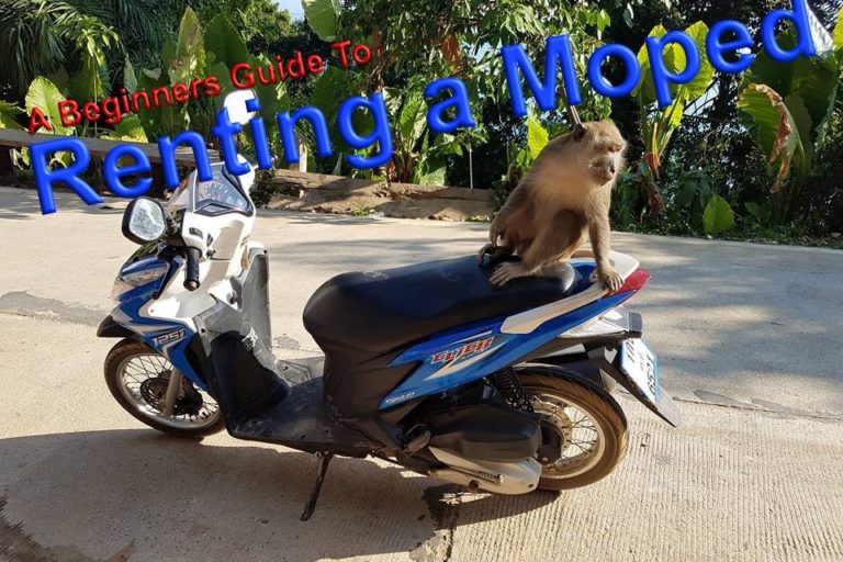 Renting a Moped in Thailand