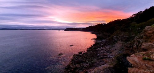 Thatcher Rock, Torquay, Standard