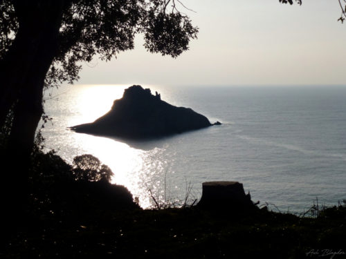 Thatcher Rock, Torquay, Standard