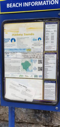 Torre Abbey Torquay 2019 3