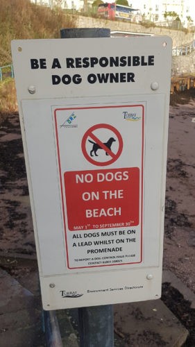 No Dogs Corbyn Head Beach
