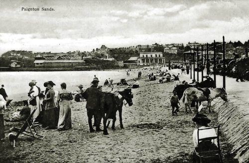 Donkeys on Paignton Sands in 1910