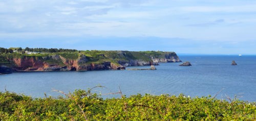 Looking toward Berry Head