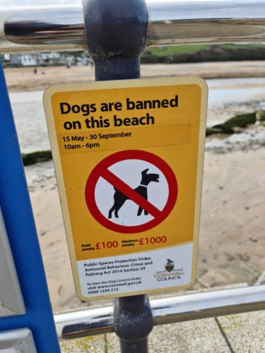 Porth Beach Newquay Cornwall 2020 3