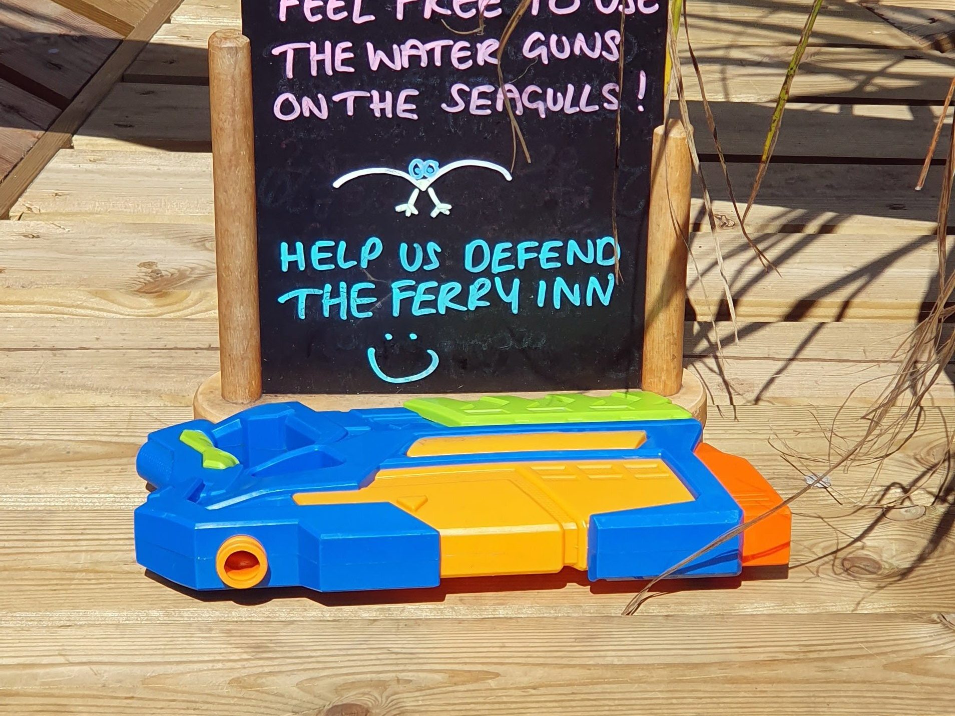 Water pistol for fighting off seagulls