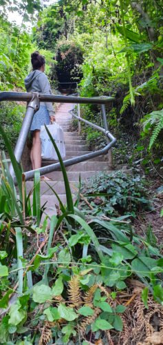 Access to the St. Mary's Bay Beach via steep steps